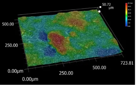 Fig. 3. Coating surface topography, SEM