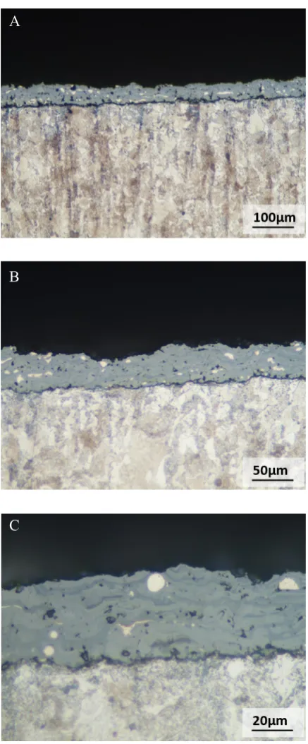 Fig. 4. Cross-section of plasma sprayed TiO2-NiAl and substrate, LOM