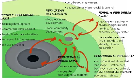 Figure 4: Dynamics of the Peri-urban and urban expansion 