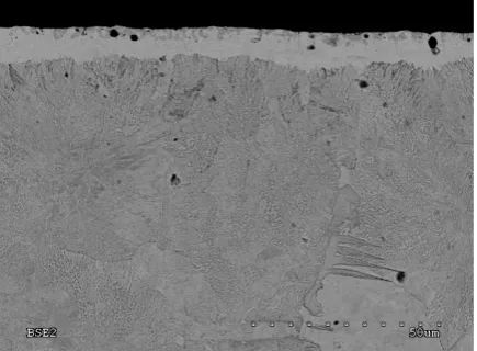 Fig. 1. The microstructure of the Armco surface after metallization and low – pressure carburizing process