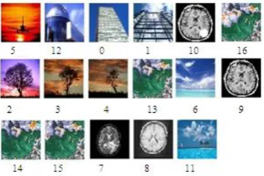 Figure 7.  Example of images database. 