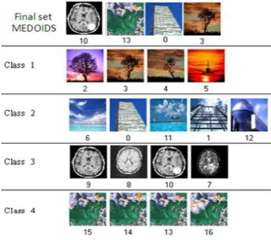Figure 10. The images chosen by the initialization   