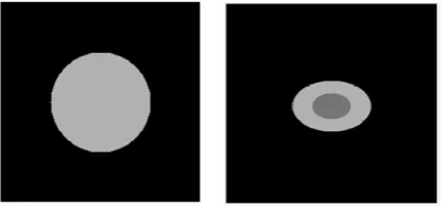 Fig. 1. Examples of geometry generated 