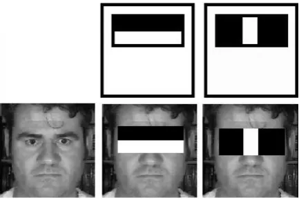 Fig. 1. Applying Haar-like features to the a face image