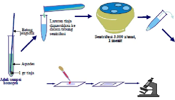 Gambar 9. Metode Konsentrasi (Anonim, 2008) 