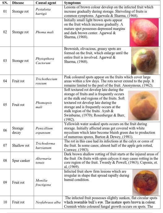 Table 2: Symptomatology of infected fruits of apple. 