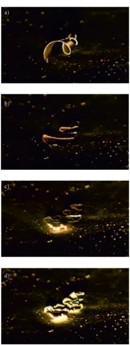 Fig. 6. Subsequent stages prior to AZ31 alloy chip ignition: a) the contact of chip with the heating plate, b) thermal deformation of chip, c) initial ignition of chip, d) full ignition of chip; ap = 1.5 mm fz = 0.05 mm/tooth vc = 300 m/min