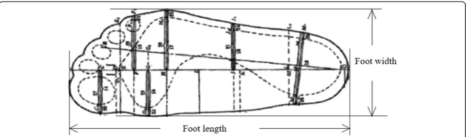 Fig. 6 Foot length and width measurement of the standards