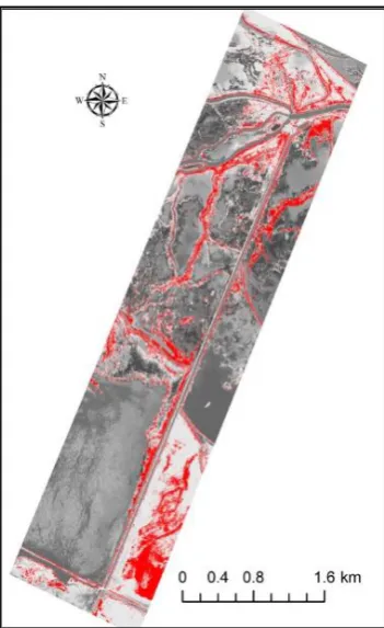 Figure 7. Classified image using MCRVM model : (a). 17 June 2010; (b). 21 September 2010; (c)