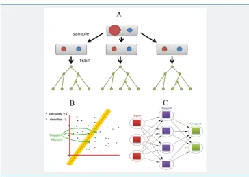 Figure 2: Machine learning algorithms for PTMs prediction. (A) Random forest classiﬁ er