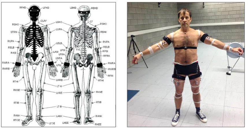 Fig. 3. Securing the glued markers with dressing mesh (a); EMG sensors with electrodes on the thigh (b)