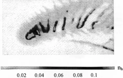 Fig. 9.  A bi-ion 2-D pattern of solar wind flow past a local heavy ionsource (reproduced from Bogdanov et al., 1996) (MA = 10)