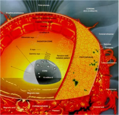 Figure 1.1: Illustration of the structure of the Sun. The core is the source ofenergy, where fusion heats the plasma to ∼ 15 MK