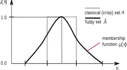 Fig. 1. Membership function of a fuzzy set