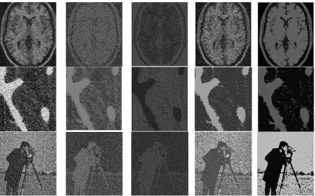 Fig. 5. The segmentation result of the three images contaminated with 25% salt and pepper noise in the first column was generated by the K-Mean (the second column), the FCM (the third column), the standard SOM (the fourth column) and the proposed SOM (fifth column)