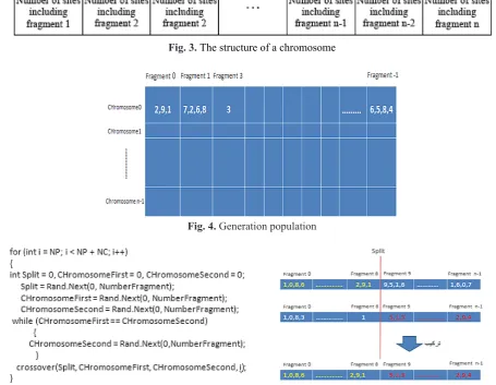 Fig. 3. The structure of a chromosome