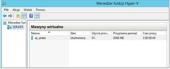 Fig. 3. Virtual machine application Hyper-V
