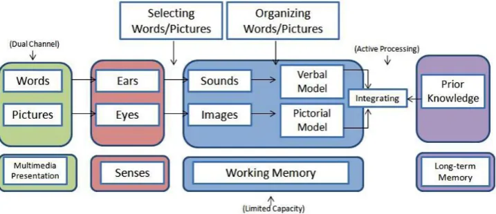 Fig. 1. Process of multimedia leaning R.E. Mayer [11]