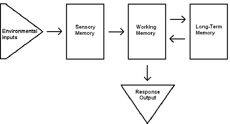 Figure 1: Overview of human memory system adapted from the Atkinson and Shiffrin Model [1968]