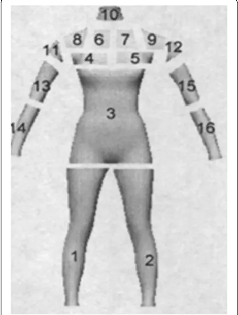Fig. 7 Mesh model reconstruction results