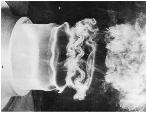 Figure 1.1: Vortex ring instability in a round jet at a Reynolds number of about