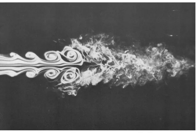 Figure 5.3: Vortex ring formation, visualised by dyed streaklines (D. Sallet,