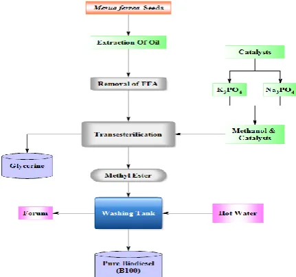 Figure 2. Preparation steps of MFOME 