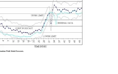 FIGURE 5  Random Walk Model Forecasts.   