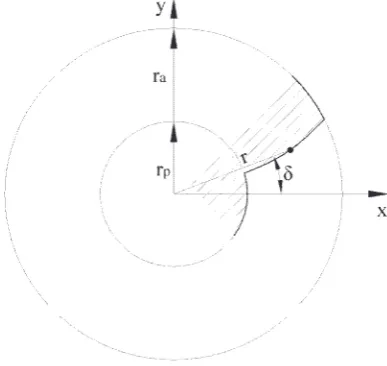 Fig. 2. Involute profile in frontal plane