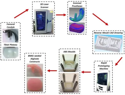 Fig. 1. Schematic of experimental design. The chondral layers, formed either through cell encapsulation into agarose hydrogels or using a self-assembly approach, were combined with BMSC laden alginate hydrogels (which formed the osseous or endochondral lay