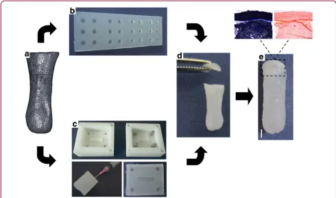 FIG. 1.Anatomically shaped MSC-seeded alginate phalanx constructs were fabricated and culturedmolding system