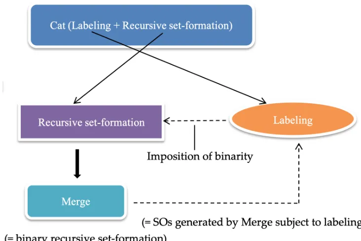 Figure 6: Evolutionary Relations among Cat, Merge, and Labeling 