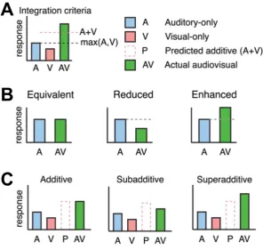 Figure 2.8: Quantification of multisensory integration.  