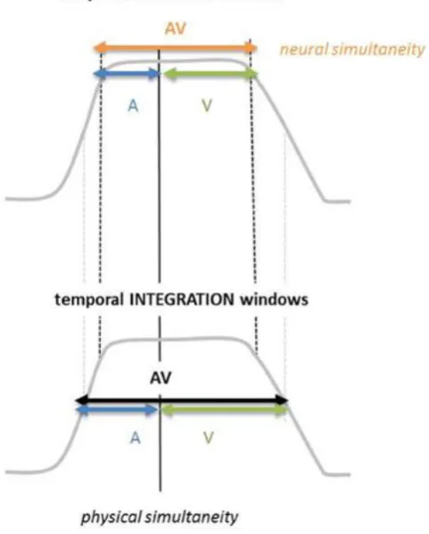 Figure 2.9: Temporal window of encoding and integration in AV speech. 