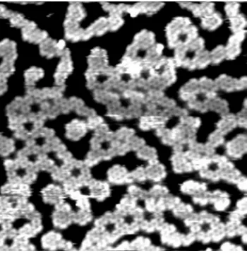 Figure 1-4: The STM image of D2O clusters on Pd(111) surface at 100 Kelvin.Theformation of hexagonal honeycomb clusters can easily be seen in this figure [4].