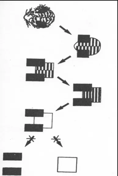 Figure 2:  Example of the reduction method to arrive at a critical visual feature 