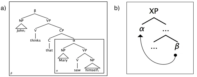 Figure 2:  The binding domain and c-command. (a) John c-commands and is co-indexed with him-self, but the domain of John is β, not α