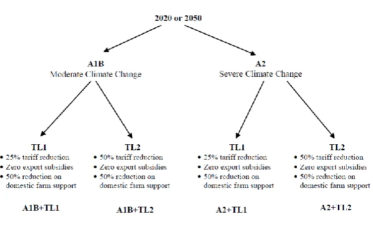 Figure 1. Structure of scenarios. 