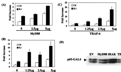 FIG. 1. MyD88, IRAK-1, and TRAF-6 but not IRAK-2 drive p65-mediated transactivation of gene expression