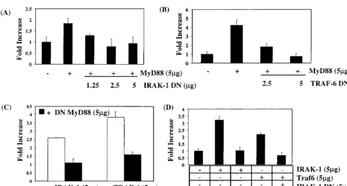 Figure 6A demonstrates that while GST-MyD88 could interact