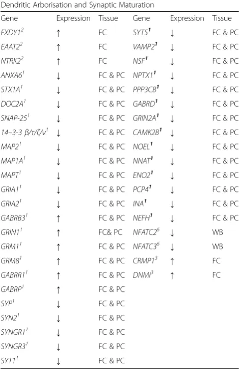 Table 1 Summary of the gene expression evidence for changesin dendritic arborisation and synaptic maturation identified bytranscriptomic analyses in human Rett Syndrome tissues