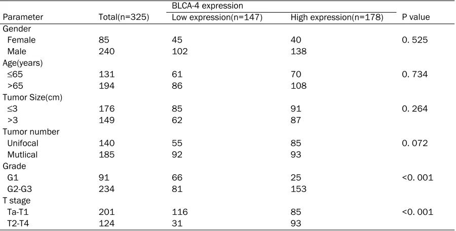 Figure 1. Immunohistochemical analysis of BLCA-4 in bladder cancer patients. A: High expression level of BLCA-4; B:Low expression level of BLCA-4; A, B: Original magnification×200
