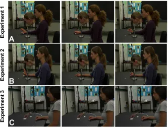 Figure 3:  Experimental set-up, stimuli, procedure and examples of trajectories in Gentilucci & 