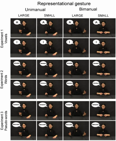 Figure 4:  Stimuli presented in experiments 1–3. The panels show all the combinations between gestures and printed vowels (‘A’ and ‘I’; experiment 1) or gestures and printed words (GRANDE, PICCOLO; experiment 2) or gestures and printed pseudo-words (SCRANTA, SBICCARA) 
