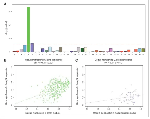 Fig. 1: Identifying gene coexpression modules associated with knockout (KO) status. (A) Association of each module’s eigengene with the KO status