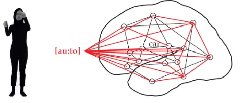 Figure 1:  Schematic illustration of a possible word network representing the word car in the learners´ native language and the corresponding word in German Auto after acoustic learning