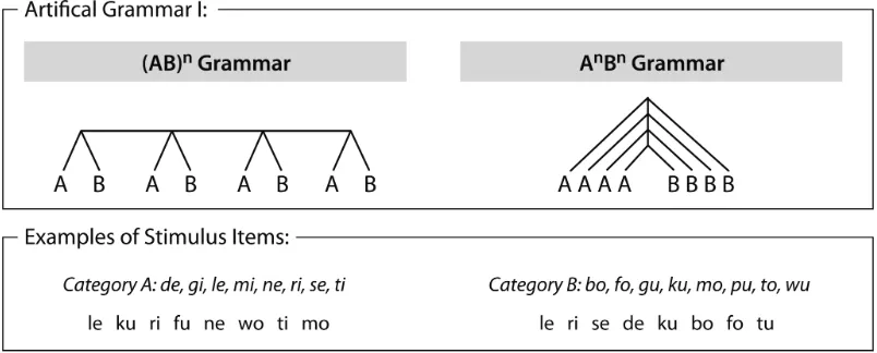 Figure 1:  Processing hierarchy in Artificial Grammar I. Structure of sequences is given in the up-per row