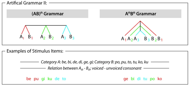 Figure 2:  Processing hierarchy in Artificial Grammar II. Structure of sequences is given in the upper row