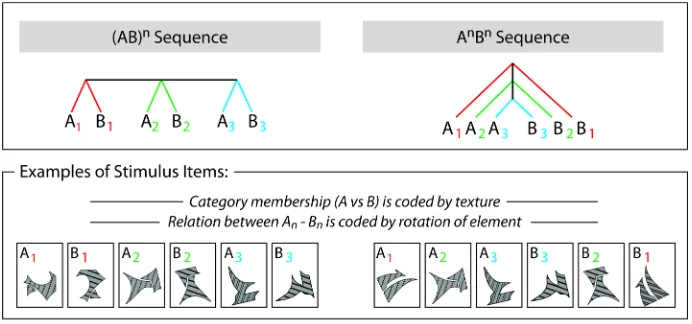 Figure 5:  Processing of hierarchy in visuo-spatial event sequences. Top: Schematic view of the two structures