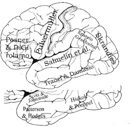 Figure 1:  Different authors view different cortical sites as most important for binding the meaning of words to their form